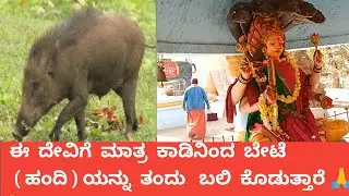 PURADAMMA  DEVI TEMPLE HASSAN 🙏🙏ಹಾಸನದ ಶಕ್ತಿ ದೇವತೆ ಭಕ್ತರು ಮರಕ್ಕೆ ಪೋಟೊ, ಭೀಗ ಕಟ್ಟುತ್ತಾರೆ 🙏🙏