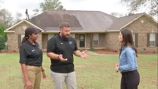 Professional Roof Cleaning Service Mobile Al