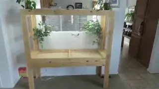 How to build a Finch Aviary Part 3 Flight Cage