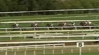 2009 Futurity Stakes- Niconero