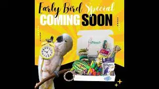 Early Bird Social Media Post #birdlovers #Membershipbox #birdcaretips  #perchville #newzooland_pets
