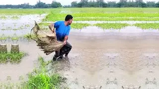 Amazing Woodwork Skill - Rainy Day Village Net Fishing Video - Cast India Net Fishing
