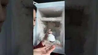 solo ☀️Girl freezer frost ice eating/ soft ice eating