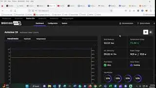 Pelish Miner HashRate Chat Live -2Miners BCH POOL Testing
