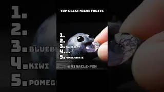 these fruits are tooo niche&hellip; #fruit #tiktok #ranking