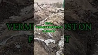 Day - 2 of selling Vermicompost on Flipkart| Day 51 of vermicompost business #business #ecommerce