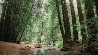 REDWOODS ELOPEMENT | SARAH & AARON
