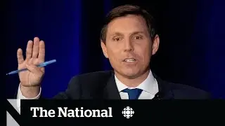 Whistleblower says she discussed payment with Patrick Brown