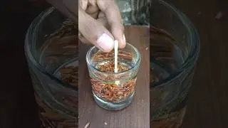 Smart Life Hack with a Cotton bud!