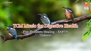 Taoist Five Elements Music: Nourish the Spleen &Support Digestion