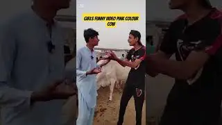 #viralvideo #funny pink colour cow #comedy