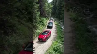 Heavy Timber Haul Through Forest Roads | Real Logging Truck Convoy in Action 🌲🚛🔥2025 | Ai Video