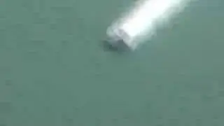 Thunderboat Regatta