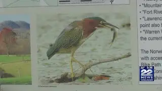 Do not feed wild animals in Massachusetts this winter