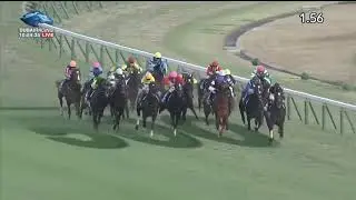2017.11.26 Japan Cup - Cheval Grand