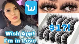$1 Lashes |  WISH APP | Try On Haul