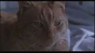 Ripley's cat 'Jonesy'