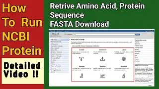 How to find protein sequence of a gene in NCBI - Sequence Analysis & Result Interpretation