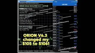 Best Forex Ea Robot Orion scalp 4.3 MT4 105$-1061$ - Free Download | King Fibonaci