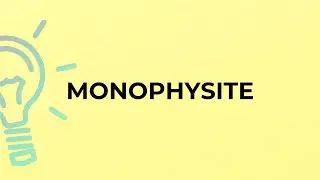 What is the meaning of the word MONOPHYSITE?