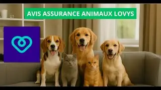Avis Lovys Assurance Animaux 2025 | Formules Essentielle, Confort & Premium Compar&eacute;es
