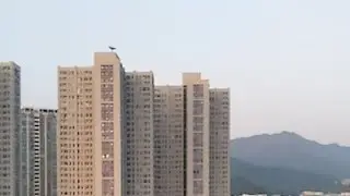 look at the high building/Tai Po hong kong.