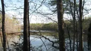 Deep Water Lot on Mayo Lake