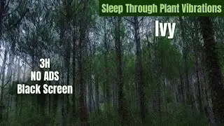 The Forest Within | 432Hz Healing Music from Living Plants (3 Hours No Ads)