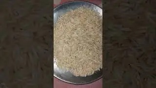 SAMPOORTI HYDERABADI BASMATI RICE EATING RAW RICE 🍚🍚🌾🌾