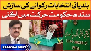 Karachi Local Body Elections | Sindh Govt in Action | Breaking News