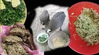 Tips for Guinea Fowl Diet | Chakor Ki Khurak | Guinea Fowl Diet Plan | Pet Vlog | PET WITH FUN