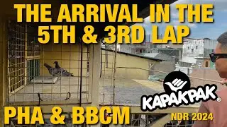 THE ARRIVAL IN THE 5TH & 3RD LAP (PHA & BBCM) [NDR 2024]