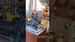 Special milk offering to Nandi on Pradosha day #annamalaiyar #nandhi #divi#devotional #god #shiva...
