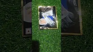 Sheba Cat Wet Food | Sheba Chicken Cat Wet Food | Sheba Cat Food | Cat Food