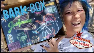 We Won The Jackpawt - BarkBox Review