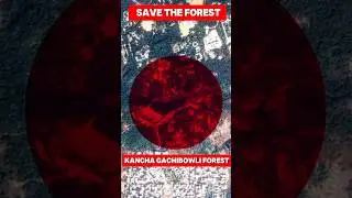 Jungle संरक्षण बनाम विकास | Forest Conservation vs Development | #forest #shorts
