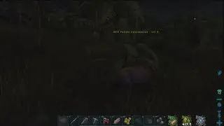 Passive Taming!  Whatchouwant in 90 Seconds!