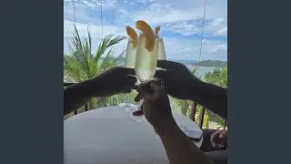 Poor Me, Pour Me Freestyle