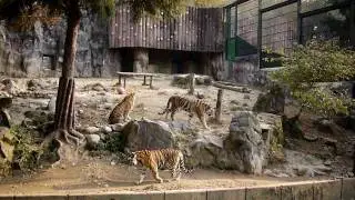 P1000885