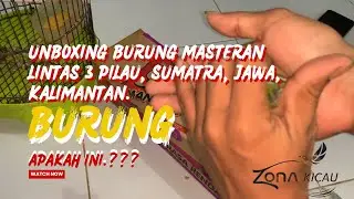 Bongkar kiriman burung masteran lintas 3 pulau, Sumatra, Jawa, Kalimantan, Burung apakah ini.???