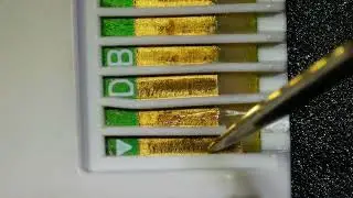 Saving a 3DS game testing new microscope.
