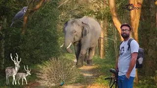 NG PhotoGraphy Intro | Nishish Ghosh - Passionate Wildlife Photographer | Nature Storyteller Dooars