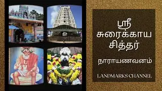 Sri Sorakayala Swamy Temple, Narayanavanam, Andhra Pradesh | ஸ்ரீ சுரைக்காய சித்தர் | Landmarks |