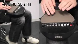 Korg WAVEDRUM Mini Looper Demo/Overview