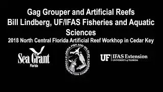 Gag Grouper and Artificial Reefs: 2018 North Central Florida Artificial Reef Meeting