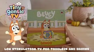 Bluey Bingo | Relaxing reading | Story time for toddlers with a BlueyBook