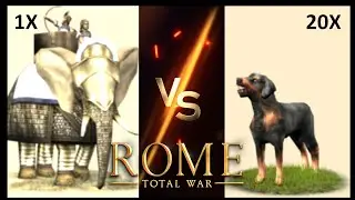 Can 20 Wardogs hunt down An Armored War Elephant in Rome: Total War?