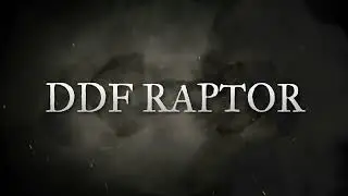DDF Raptor 2025: Morgan Stallion Standing at Stud