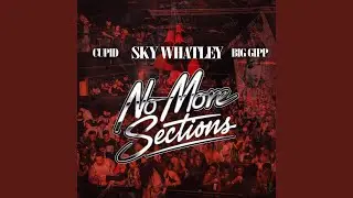 No More Sections (feat. Cupid & Big Gipp)
