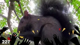 I'm a squirrel... | i like to eat Candy today... // Kids Candy Play//227